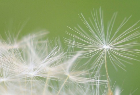 1710834599112132.png image.png