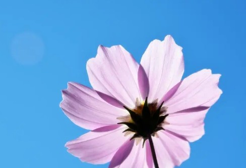 1710845203441032.png image.png
