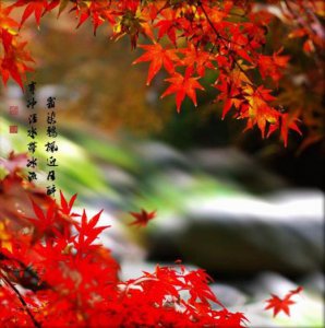 ​一问一答的套路(撩人的情话套路短句)