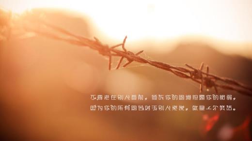 八个字的个性签名唯美