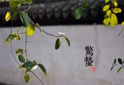 写给自己的励志句子