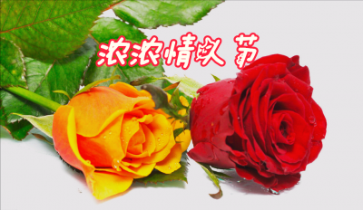 ​送花卡片情话最暖心一段话（21句花束卡片简短寄语爱情）