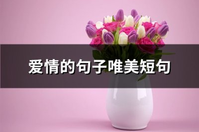 ​爱情的句子唯美短句(必备91句)