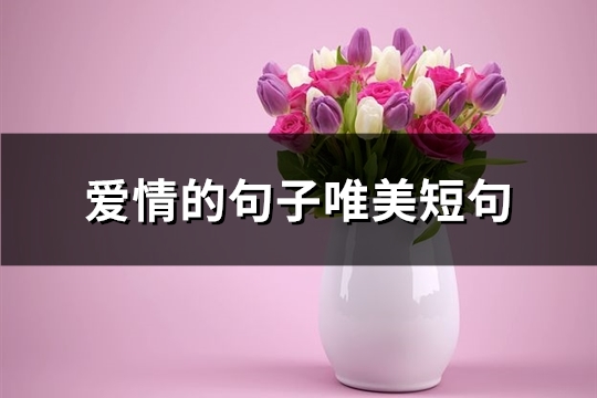 爱情的句子唯美短句(必备91句) 爱情的句子唯美短句(必备91句)