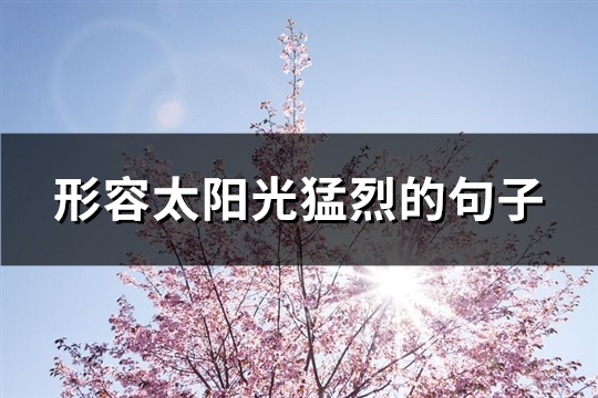 形容太阳光猛烈的句子(通用86句) 形容太阳光猛烈的句子(通用86句)