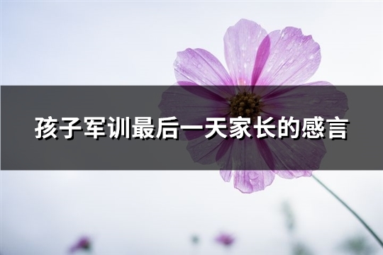 孩子军训最后一天家长的感言(通用72句) 孩子军训最后一天家长的感言(通用72句)