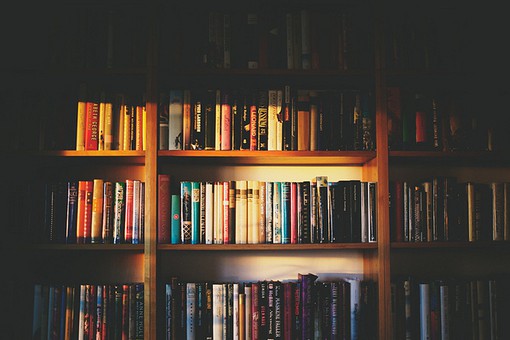 有关彼岸花的句子有关彼岸花的霸气句子(精选40句)
