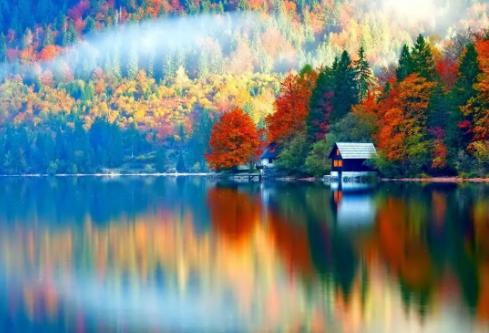 1702348675565876.png image.png