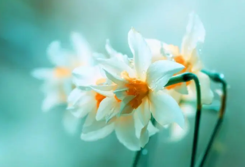 1702371207667446.png image.png