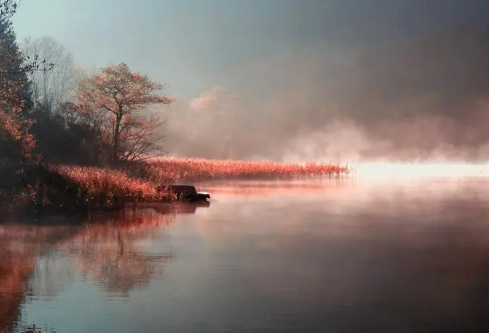 1702332116971618.png image.png