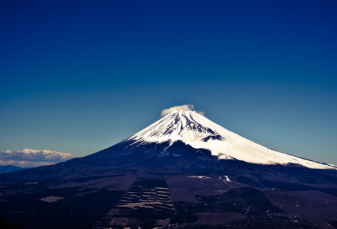 1702405659529143.png image.png