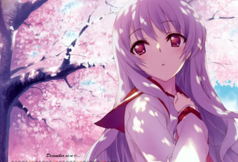 1686570827707975.png image.png