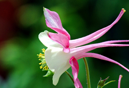 1710990127874258.png image.png