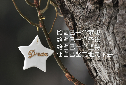 1711384462508624.png image.png