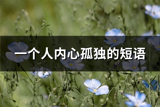 一个人内心孤独的短语(推荐94句) 一个人内心孤独的短语(推荐94句)