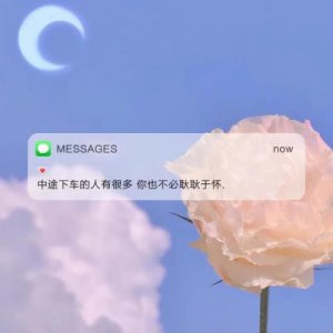 ​关于最美的友情句子,友情不散的短句[28条]