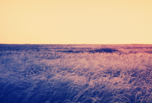 1702330626926631.png image.png