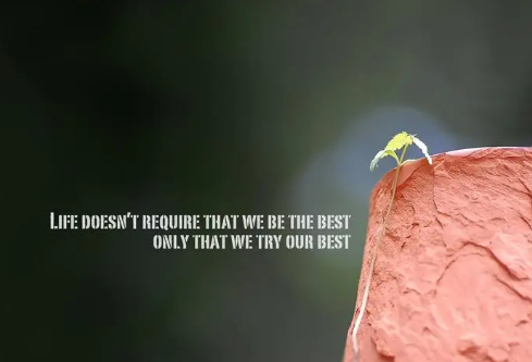 1710960724134538.png image.png