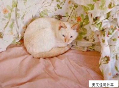 ​伤感签名女心碎伤感（最凄凉最悲伤的句子45句）