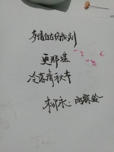 喜欢做饭的唯美句子 形容为心爱的人做饭的句子
