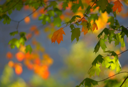 1689577659265118.png image.png