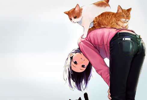1689585592135287.png image.png