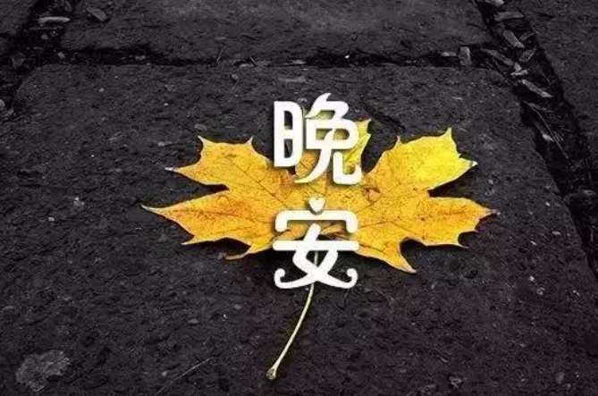 1691670794975100.png image.png