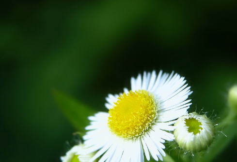 1691677521707012.png image.png