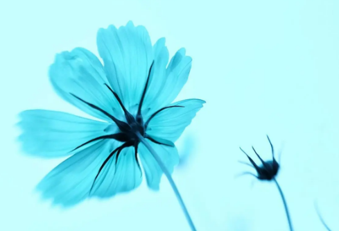 1691678110632567.png image.png