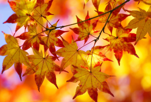 1691678442571677.png image.png