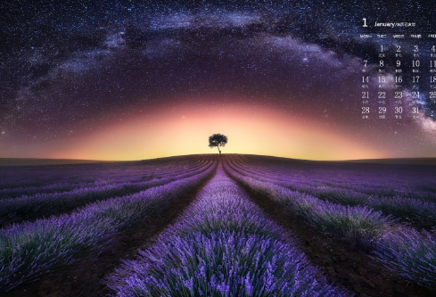 1691678640246873.png image.png
