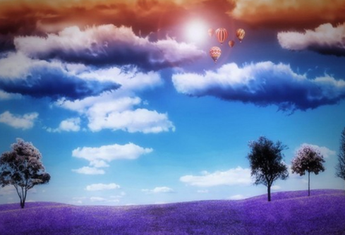 1691678707136595.png image.png