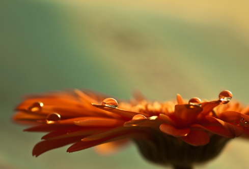 1691679369104085.png image.png