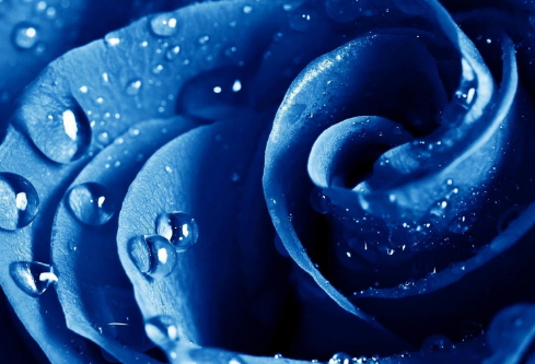 1691679966705936.png image.png