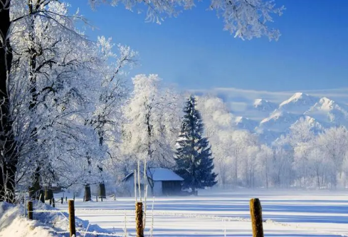 1691680170110385.png image.png