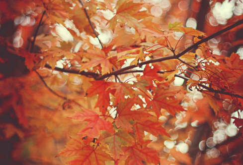 1691681440501750.png image.png