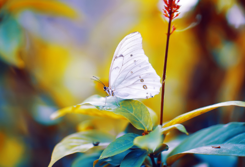 1691681705915285.png image.png