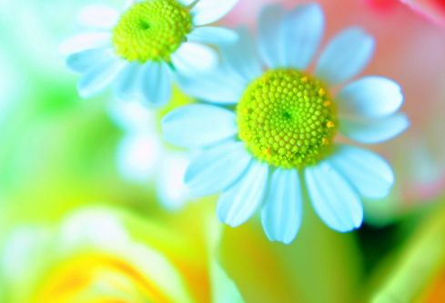 1691681904661828.png image.png