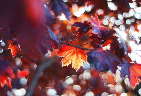 1691685171129215.png image.png