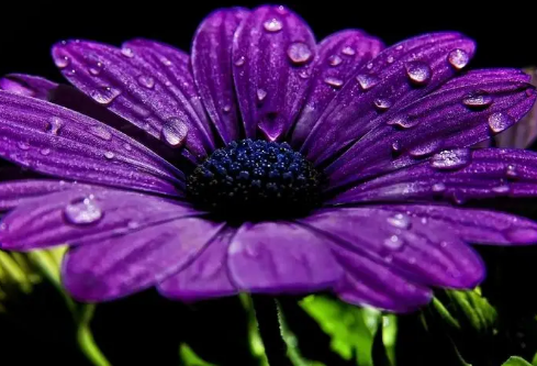 1691686093387716.png image.png