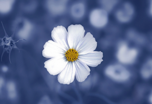 1691686625919072.png image.png
