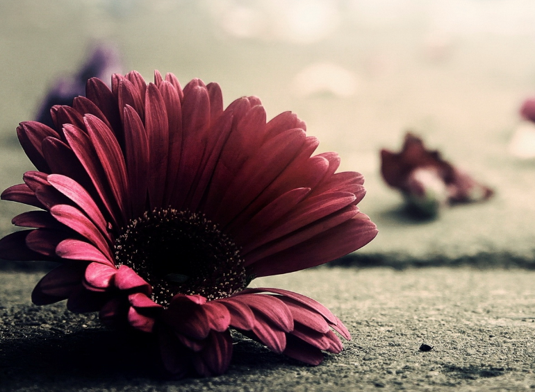 1691687004128884.png image.png