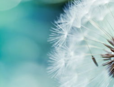 ​祝晚辈新婚的祝福语-42句