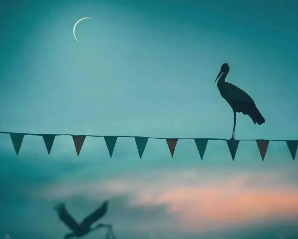 1691687205111633.png image.png