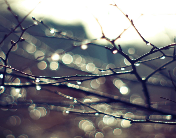 1691687278128966.png image.png