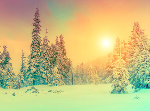 1691687351308623.png image.png