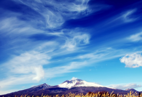 1691729613130579.png image.png