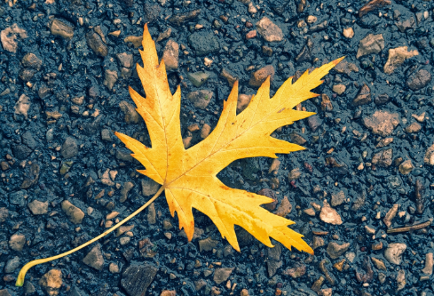 1691729945131698.png image.png