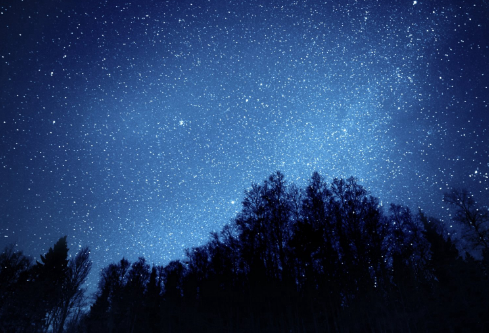 1691731337733863.png image.png