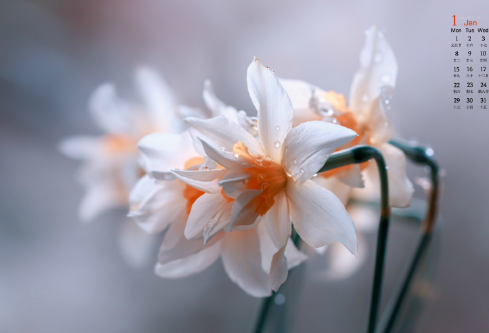 1691731601126367.png image.png